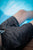 Pantaloneta de Baño Hombre Estampada - Constelación Oscura